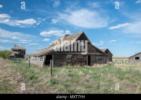 Prairie abandonnée ferme près de Carseland (Alberta), Canada. Banque D'Images