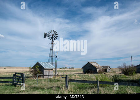 Prairie abandonnée ferme près de Carseland (Alberta), Canada. Banque D'Images