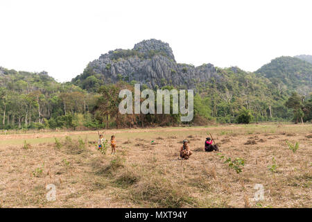 Les femmes et les enfants dans le champ, Nong Ping, Laos Banque D'Images