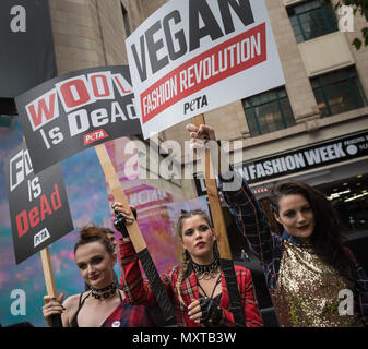 Brewer Street, Soho, Londres. Le 16 septembre 2016. Que Londres célèbre 40 ans de punk, des militants de PETA étincelle son propre "Mode Vegan Revolution' outsi Banque D'Images