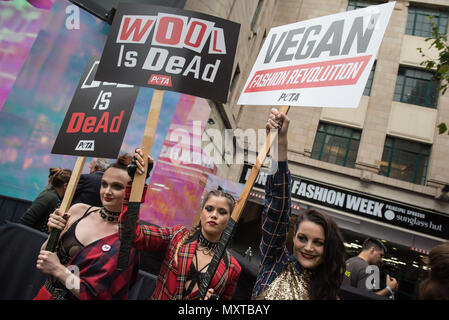 Brewer Street, Soho, Londres. Le 16 septembre 2016. Que Londres célèbre 40 ans de punk, des militants de PETA étincelle son propre "Mode Vegan Revolution' outsi Banque D'Images