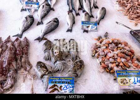 Auf dem Tintenfisch Ballaro Markt, à Palerme en Sicile Banque D'Images