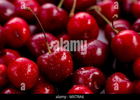 Cerises avec les gouttes d'eau en-tête. Les baies macro shot with copy space Banque D'Images