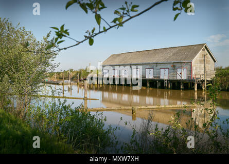 Scotch Bassin Shed, Steveston, Canada Le hangar à net historique point de Garry, Steveston. Richmond, C.-B.). Banque D'Images