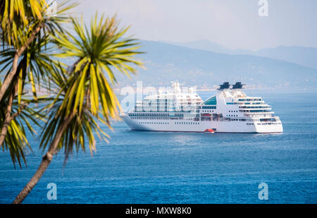 Paquebot paquebot transatlantique vue aérienne arrière-plan palms Banque D'Images