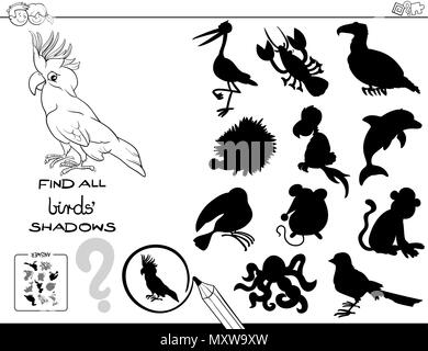 Illustration Cartoon noir et blanc de trouver tous les oiseaux ombres activité éducative pour les enfants Coloring Book Illustration de Vecteur