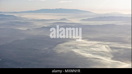 Misty, une balle en vol des Montes de Málaga, Andalousie, espagne. Banque D'Images