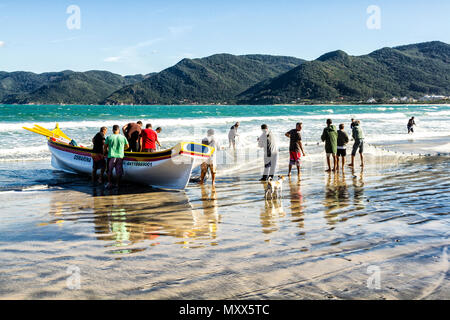 Les pêcheurs tirant un filet de pêche dans un bateau pendant la saison de pêche au mulet à Pantano do Sul Beach. Florianopolis, Santa Catarina, Brésil. Banque D'Images