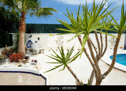 Joli jardin tropical avec palmiers et piscine Banque D'Images