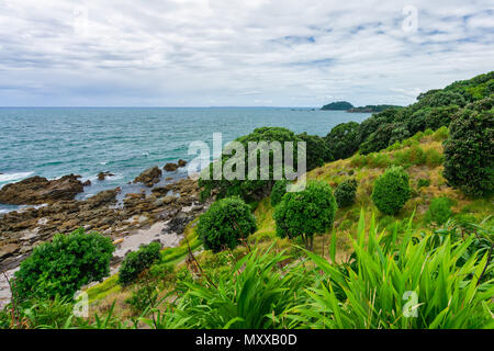 Donnant sur la baie Hawkes, Tauranga, Nouvelle-Zélande summertime Banque D'Images