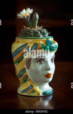 Pot de céramique colorée d'un cactus à fleurs sur elle, Sicile, Italie Banque D'Images