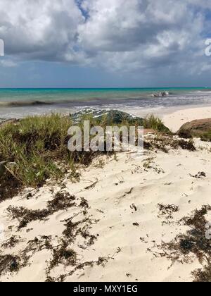 Plage idyllique Welches intacte à Oistins, Barbade (île des Caraïbes des Antilles) avec de grandes pierres noires, les petites plantes vertes et de sable blanc Banque D'Images