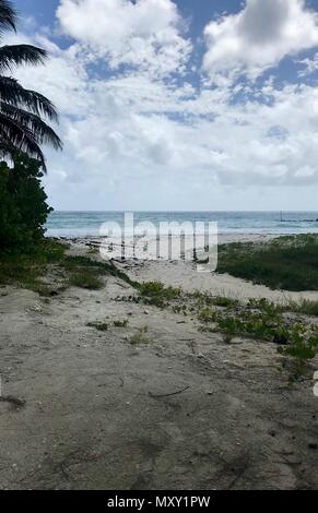 Welches pittoresque idyllique plage de Oistins, Barbade (île des Caraïbes - Antilles) avec d'énormes pierres noires, herbe, sable et un ciel bleu avec des nuages blancs Banque D'Images