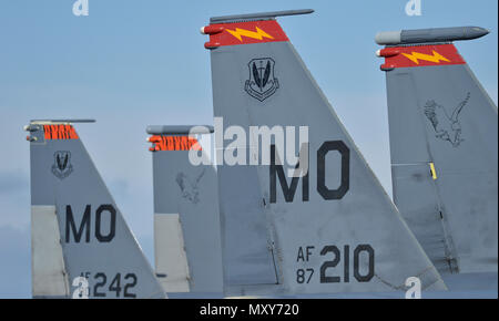 Deux des 16 U.S. Air Force F-15E Strike Eagle de la 336e Escadre de chasse, Mountain Home Air Force Base, Texas, sont stationnés sur l'aire à la base aérienne Tyndall, en Floride, le 14 décembre 2016. Mountain Home est une des nombreuses installations de l'Armée de l'air d'envoyer le personnel au sol et actifs à participer à la 2016 drapeau à damiers 17-1, une antenne à grande échelle l'intégration de la force totale de l'exercice. (U.S. Air Force photo de Tech. Le Sgt. Javier Cruz/libérés) Banque D'Images