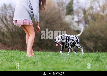 Jolie jeune femme joue avec un chien dalmatien sur le pré Banque D'Images