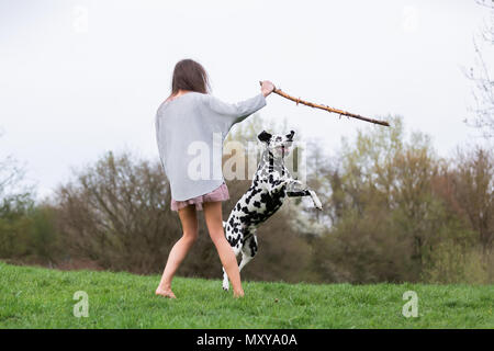 Jolie jeune femme joue avec un chien dalmatien sur le pré Banque D'Images