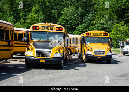 Les autobus scolaires stationnés sur week-end Banque D'Images