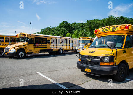 Les autobus scolaires stationnés sur week-end Banque D'Images