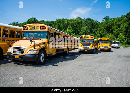 Les autobus scolaires stationnés sur week-end Banque D'Images