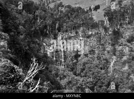 Morans Falls, Parc National de Lamington, Ullenhall Shire, septembre 1933. Banque D'Images