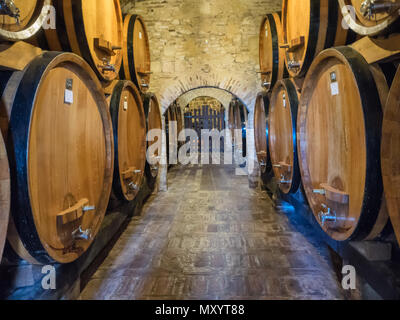 Barils de vin en Toscane, Italie Banque D'Images