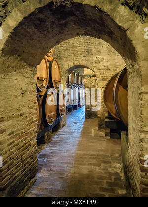 Barils de vin en Toscane, Italie Banque D'Images