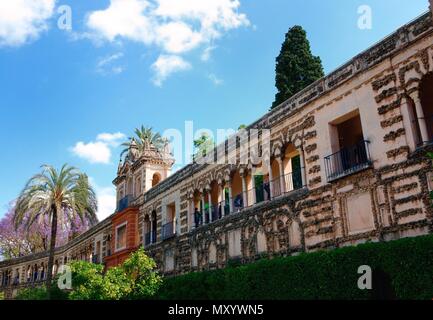 Alaczar palace Seville Banque D'Images