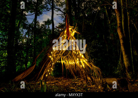 Arbres lumineux festif - Brisbane, Queensland, Australie Banque D'Images