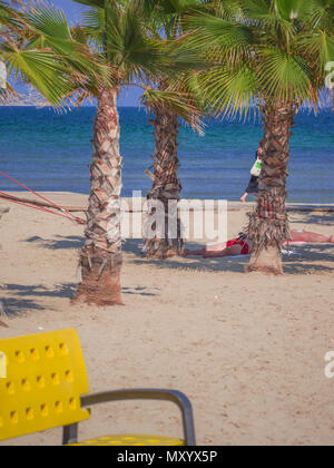 Les touristes bronzer dans une plage avec des palmiers et des bancs pour se détendre à l'ombre. Alicante, Espagne Banque D'Images