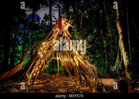 Arbres lumineux festif - Brisbane, Queensland, Australie Banque D'Images