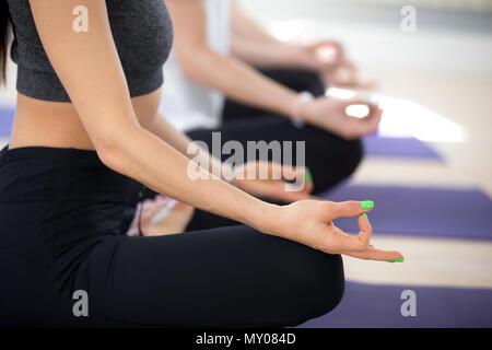 Young women practicing yoga leçon, faisant de l'exercice, siège facile Sukhasana posent, s'entraîner, une session close up of hand mudra, girl avec spr Banque D'Images