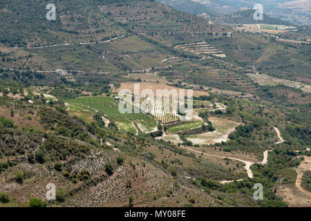 Vignobles en terrasses sur un hilside dans la région de Paphos Chypre Banque D'Images