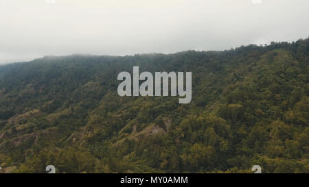 La forêt de montagne dans le brouillard et les nuages. Vue aérienne de la forêt tropicale de montagne avec les nuages, brouillard blanc Bali, Indonésie. Plus de nuages à basse altitude, les forêts de conifères. Banque D'Images