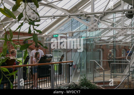 Les visiteurs à la recherche dans un établissement d'information conseil dans le Ravin Tropical, les Jardins Botaniques de Belfast. Banque D'Images