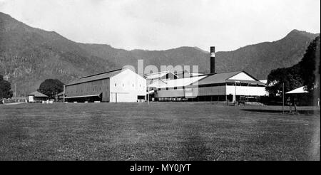 Moulin à Sucre Hambledon près de Cairns, c 1935. Cairns Post 11 Juillet 1935 Le temps des sucres. HAMBLEDON MILL. La coupe a commencé. 41562432 ) avec la meilleure partie de 400 cutters signé sur, la saison du sucre dans l'Hambledon (C.S.R.) mill salon battra son plein d'ici la fin de la semaine. Certains de la coupe a commencé mardi pour donner à l'usine une fourniture pour tester ses machines. Plus cutters a commencé hier et l'usine débutera son écrasement à-jour. Le reste de la coupe aura commencé à travailler le lundi suivant.- Banque D'Images