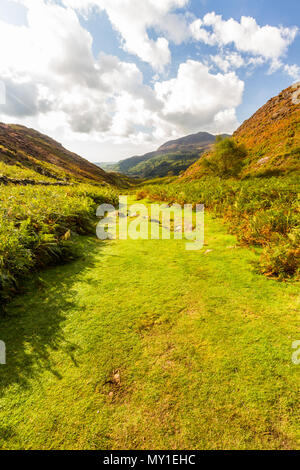 Vue du sommet du MCG Bychan, Parc National de Snowdonia, le Nord du Pays de Galles, Royaume-Uni. Vue vers la mer. Banque D'Images