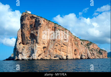 Capo Caccia Falaise, parc naturel de Capo Caccia, Alghero, Sardaigne, Italie Banque D'Images