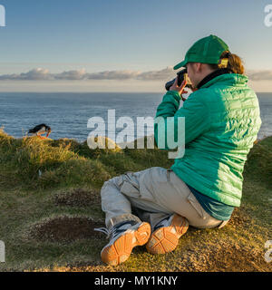 Prendre des photos de macareux moines, Latrabjarg falaises, Islande Banque D'Images