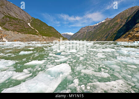 L'eau de fonte et des blocs de glace au fjord Tracy Arm, en Alaska, le Pacifique Nord, USA Banque D'Images
