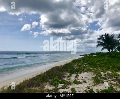 Welches pittoresque idyllique plage de Oistins, Barbade (île des Caraïbes - Antilles) avec d'énormes pierres noires, herbe, sable et un ciel bleu avec des nuages blancs Banque D'Images