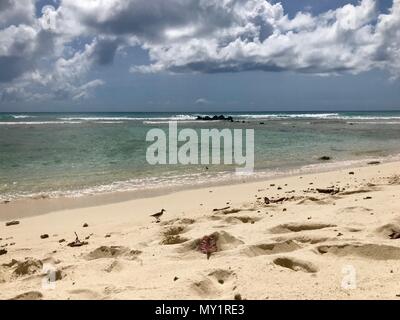 Belle vue panoramique sur une plage de sable vierge pittoresque à la Barbade (île des Caraïbes des Antilles) avec un ciel bleu et nuages blancs Banque D'Images