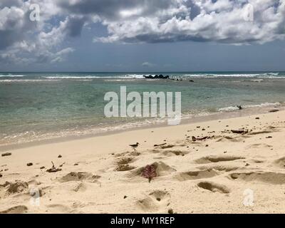 Belle vue panoramique sur une plage de sable vierge pittoresque à la Barbade (île des Caraïbes des Antilles) avec un ciel bleu et nuages blancs Banque D'Images