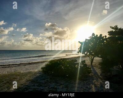 Coucher de soleil dans une rue côtière à Oistins, Barbade (île des Caraïbes) avec palmiers, plage et beau océan turquoise en arrière-plan Banque D'Images