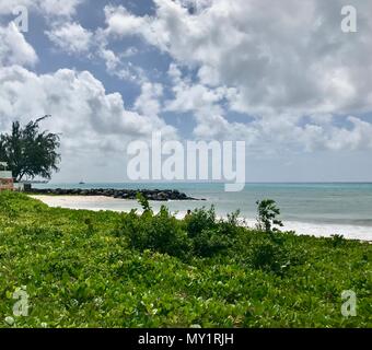 Vue panoramique de l'idyllique plage de Oistins, Welches Barbade (île des Caraïbes) avec les plantes vertes, le sable blanc et l'océan turquoise pittoresque Banque D'Images