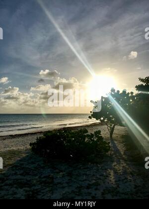 Coucher de soleil dans une rue côtière à Oistins, Barbade (île des Caraïbes) avec palmiers, plage et beau océan turquoise en arrière-plan Banque D'Images