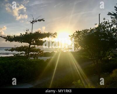 Coucher de soleil dans une rue côtière à Oistins, Barbade (île des Caraïbes) avec palmiers, plage et beau océan turquoise en arrière-plan Banque D'Images