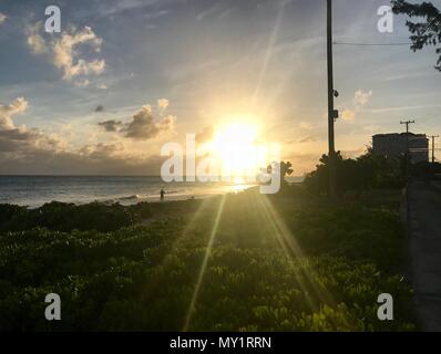 Coucher de soleil dans une rue côtière à Oistins, Barbade (île des Caraïbes) avec palmiers, plage et beau océan turquoise en arrière-plan Banque D'Images