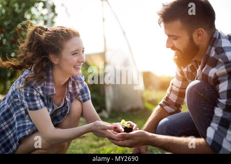 Jeune couple d'agriculteurs travaillant dans les émissions de Banque D'Images