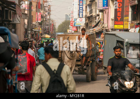 Scène de rue à Karol Bagh, l'homme dans un chariot utilisé comme un véhicule de transport, New Delhi, Inde Banque D'Images