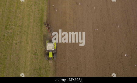 Tracteur agricole labourant un champ vert, beaucoup d'oiseaux qui volent autour de lui.vue aérienne:tracteur laboure la terre dans les zones rurales sur le champ de l'agriculteur. Banque D'Images